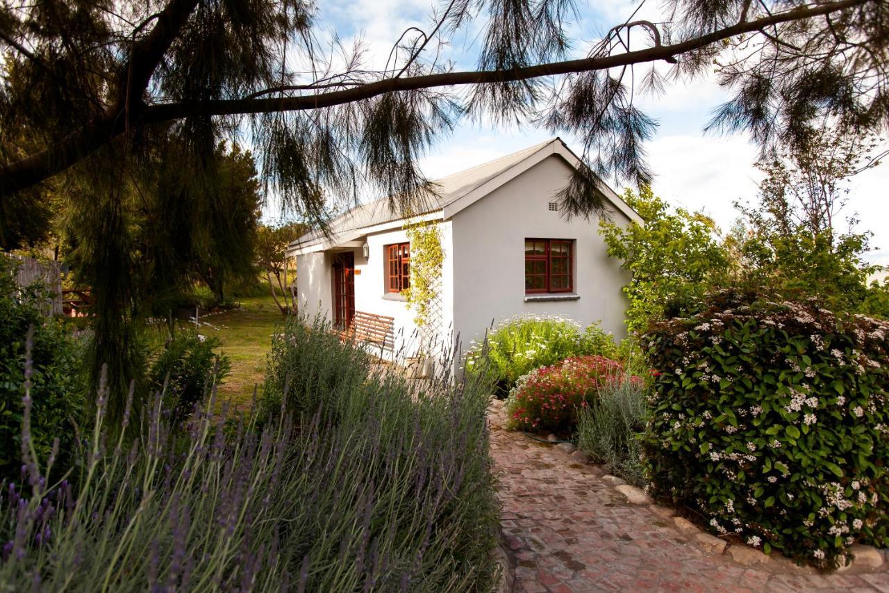 Summerhill Guest Farm Worcester Exterior photo